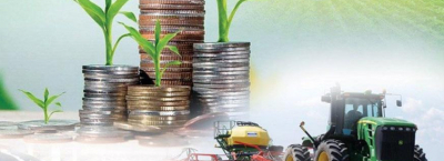 Ауыл шаруашылығының жалпы өнім көлемі 3,4%-ға өсіп, 3,6 трлн теңгеге жетті