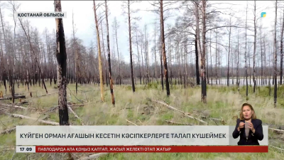 Орманның күйген ағашын кесетін кәсіпкерлерге талап күшейді