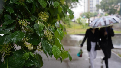 Бүгін Қазақстан мегаполистерінің бірінде өткінші жаңбыр жауады