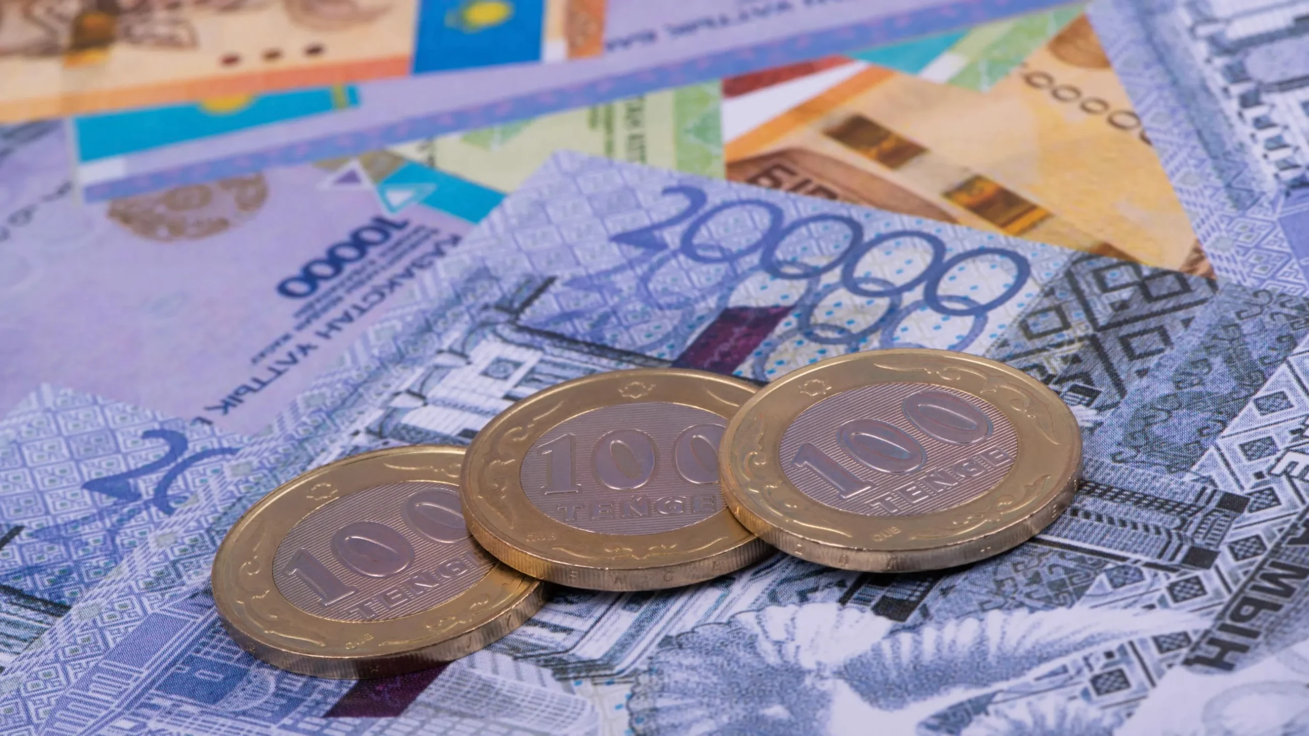 Кәсіпкер мал шаруашылығы жобасына бөлінген 60 млн теңгені жымқырған